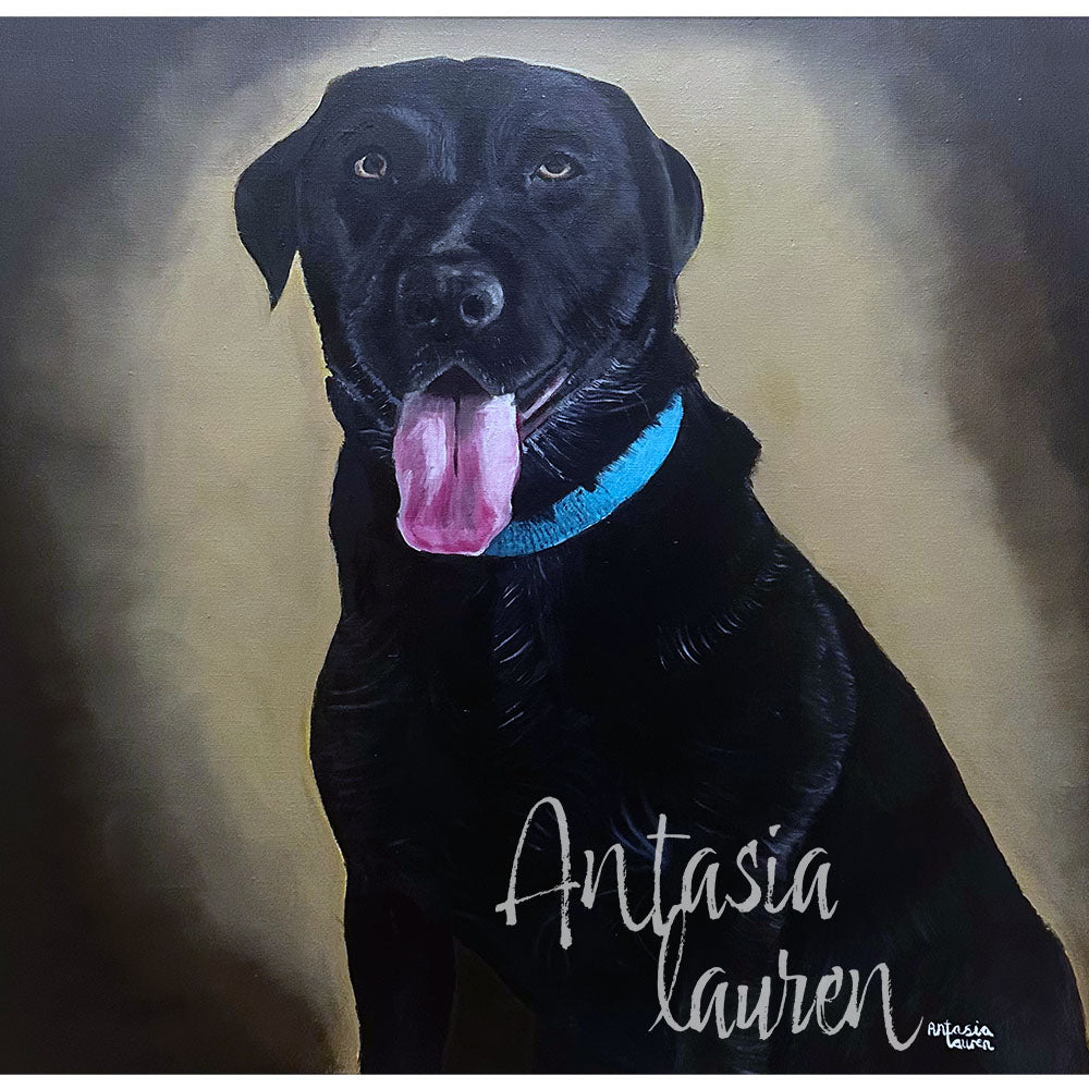 Oil painting of a black Labrador dog with a blue collar